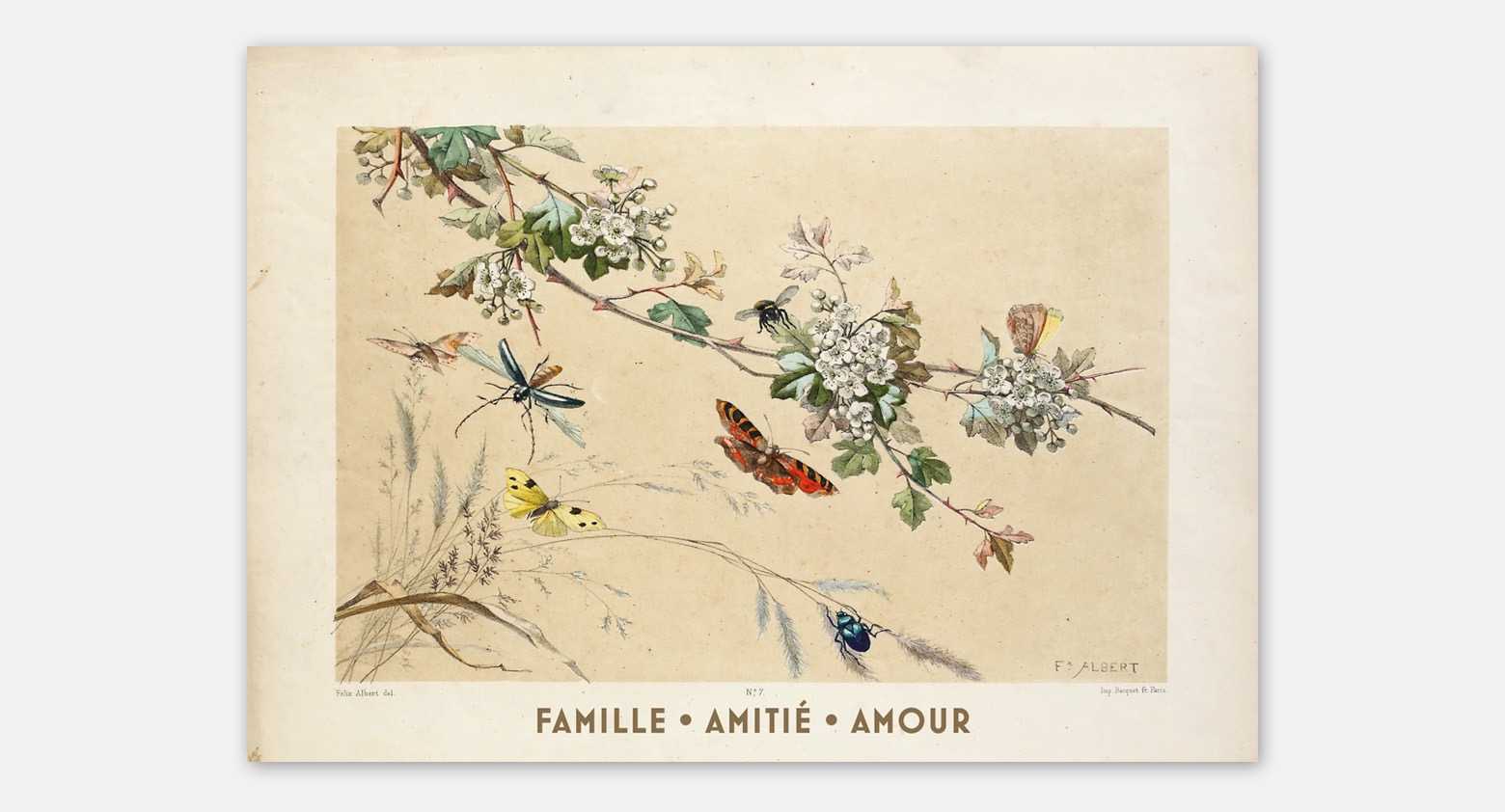 Cartes de voeux