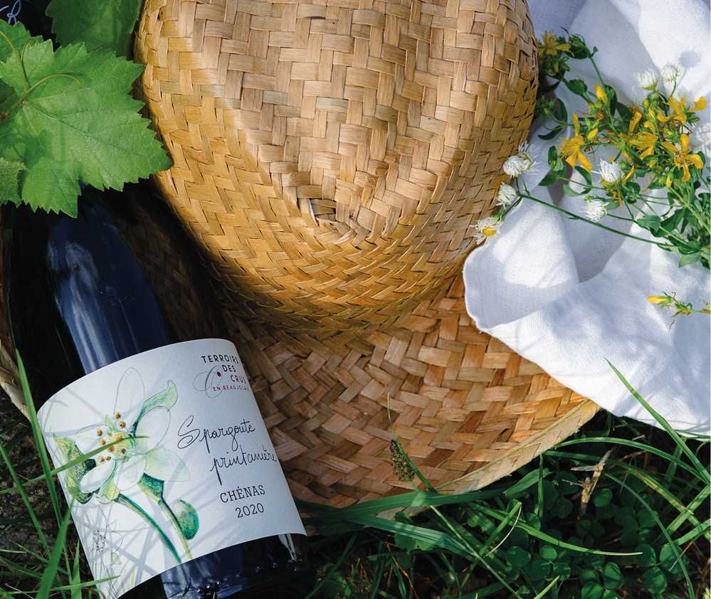 Brochure naturaliste