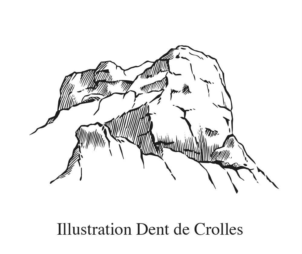 Identité visuelle