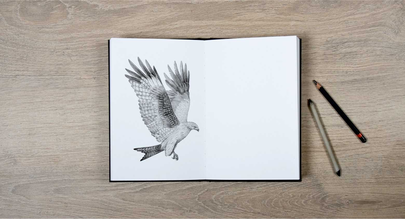 Gamme Oiseaux