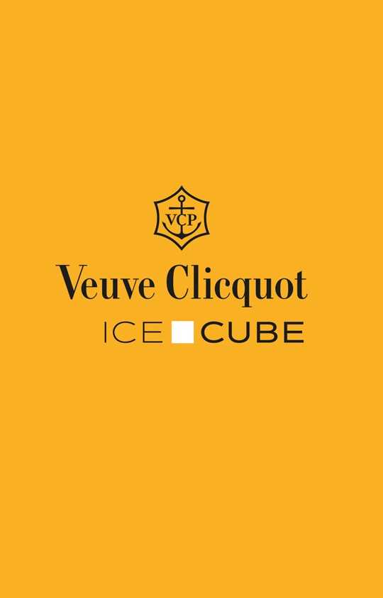 Brochure Ice Cube