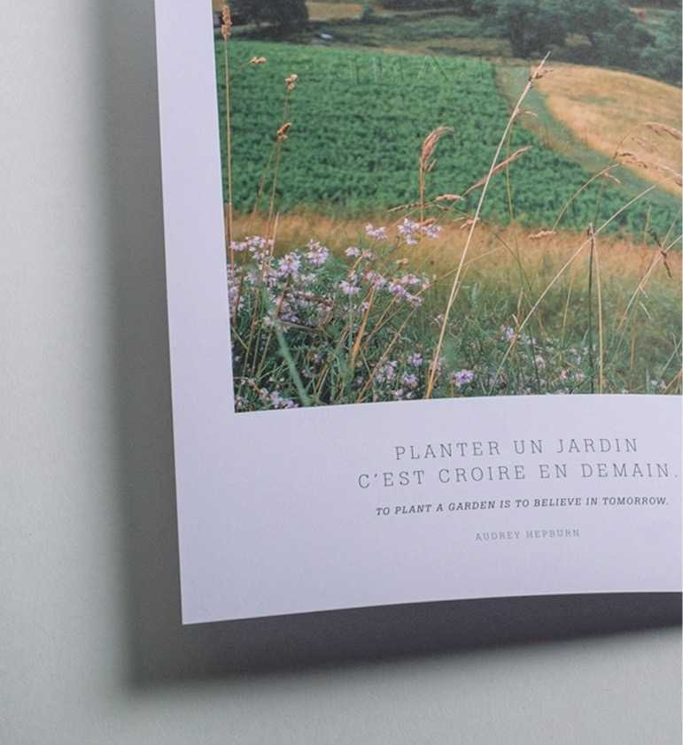 Brochure naturaliste