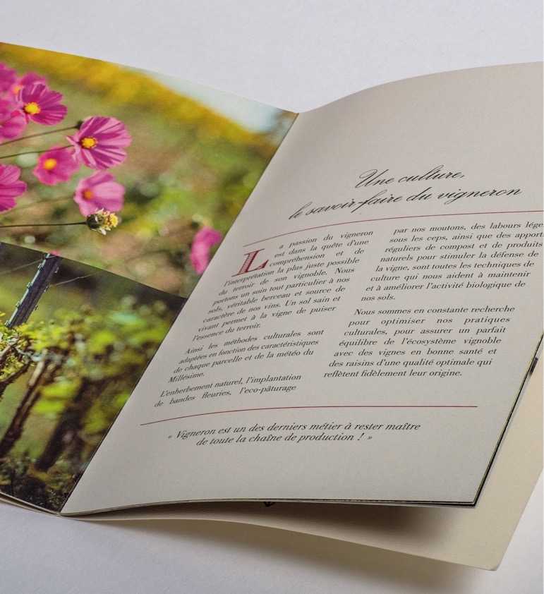 Brochure