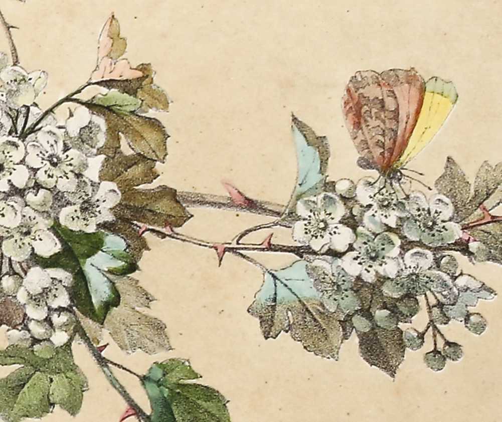 Cartes de voeux