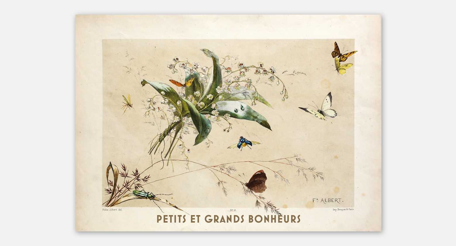Cartes de voeux